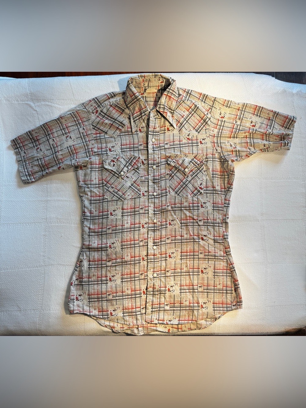 Vintage 70s ELY Plains Rider Western Shirt Pearl Snap Plaid Cowboy Rockabilly